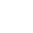 X icon